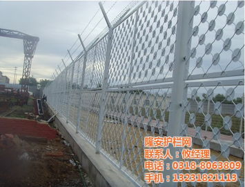 隆安护栏网 图